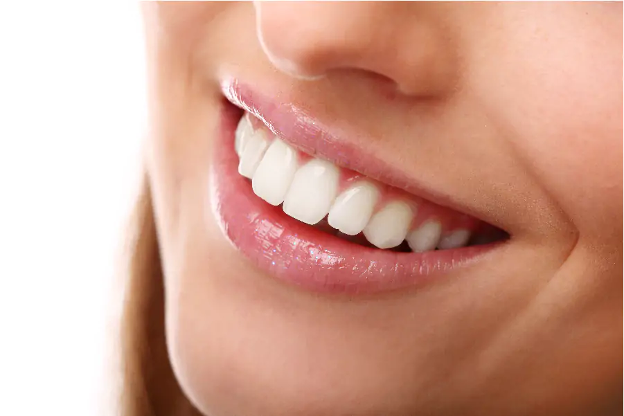 Denti di porcellana